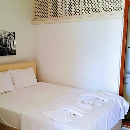 Hotel Santo *