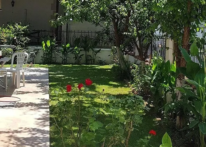 şenol * Akyaka (Mugla)