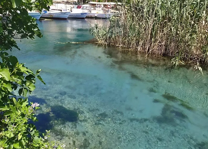 şenol * Akyaka (Mugla)