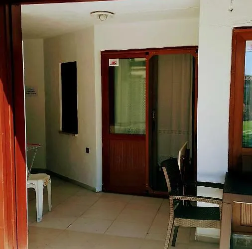 Santo * اكياكا